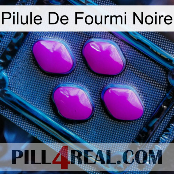 Black Ant Pill 04